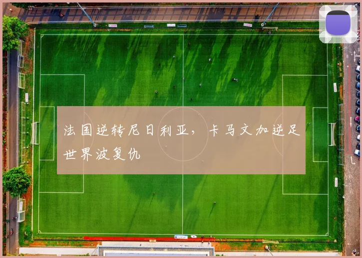 法国逆转尼日利亚，卡马文加逆足世界波复仇