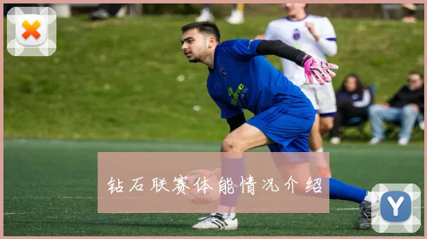 钻石联赛体能情况介绍