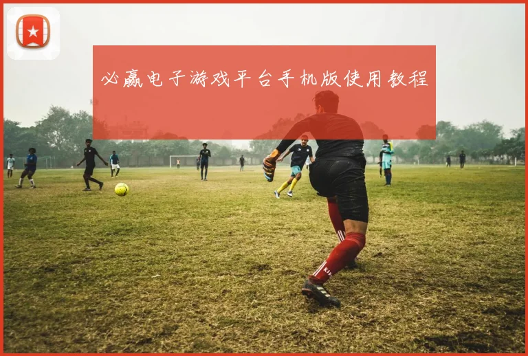 必赢电子游戏平台手机版使用教程