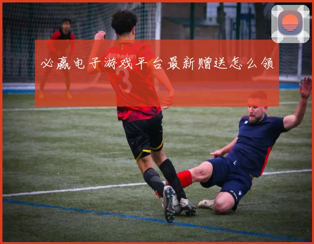 必赢电子游戏平台最新赠送怎么领