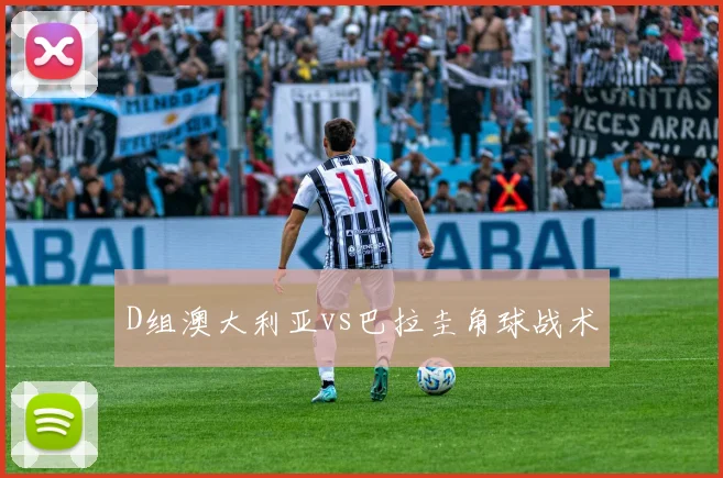 D组澳大利亚vs巴拉圭角球战术